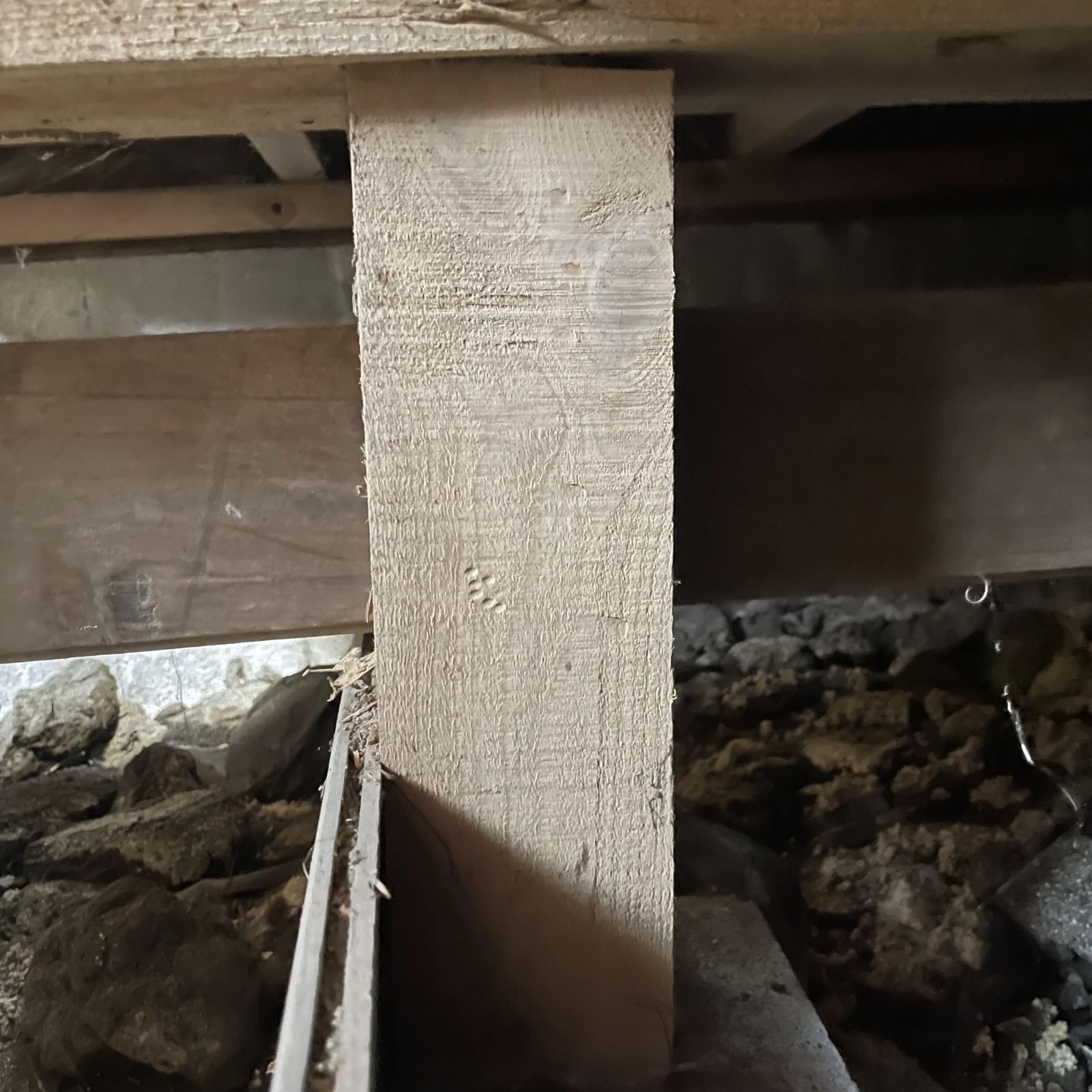 シロアリによって食害された床下の束の状態