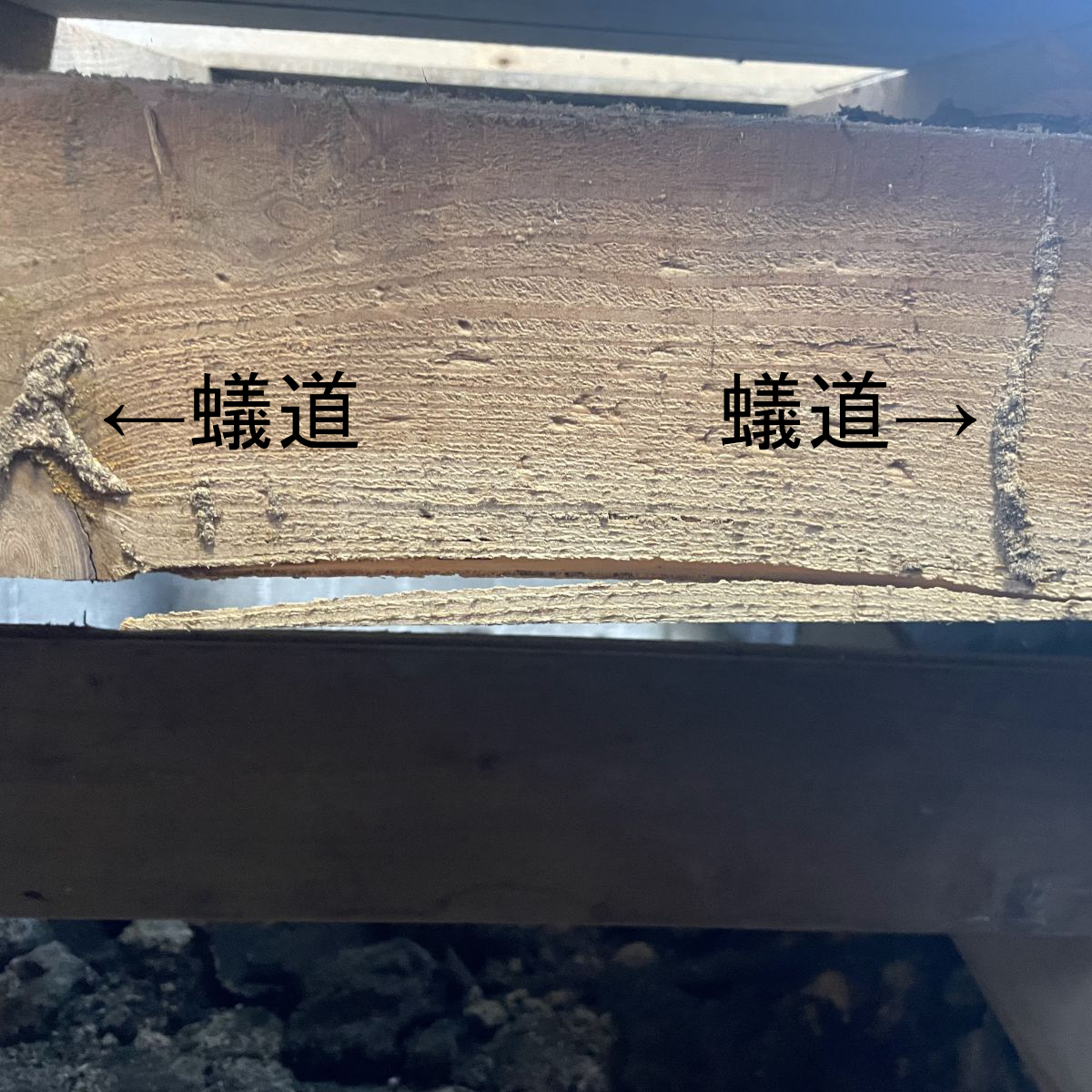 床下の大引にシロアリの蟻道が発生している状態