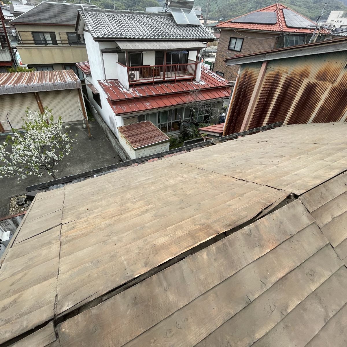瓦を撤去した後に露出した野地板の劣化や隙間の状態
